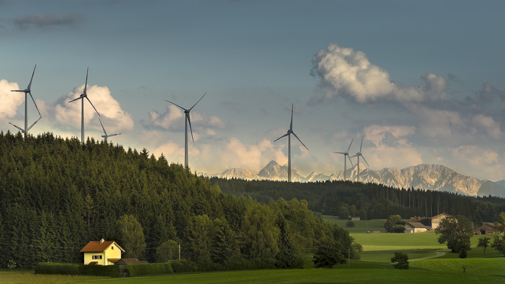 6. Platz Anton Kienle